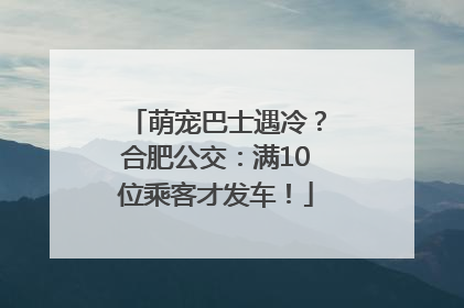 萌宠巴士遇冷？合肥公交：满10位乘客才发车！